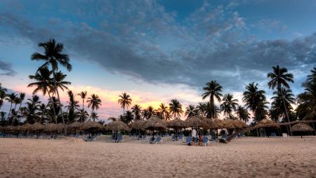 Nipa Hat Surrounded With Palm Trees Under White Clouds and Blue Skies Under Orange Sunset