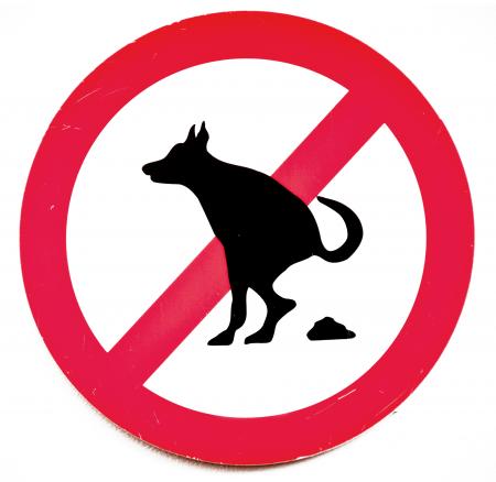 no dog poop sign