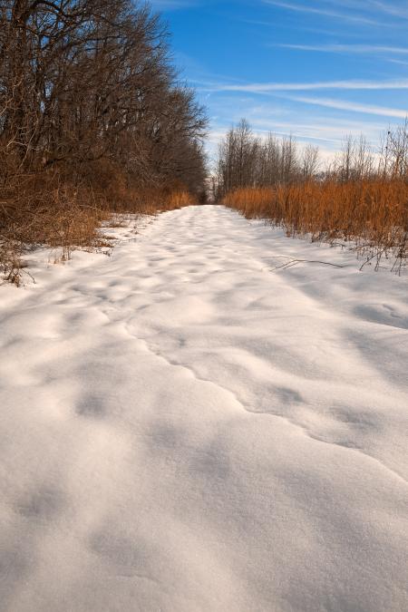 North Point Winter Trail - HDR