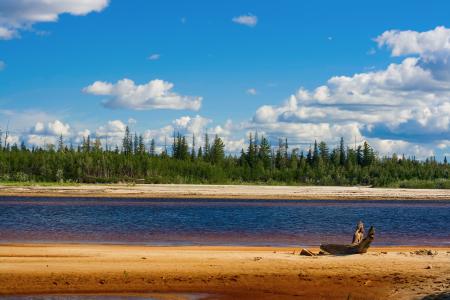 Northern Summer Landscape
