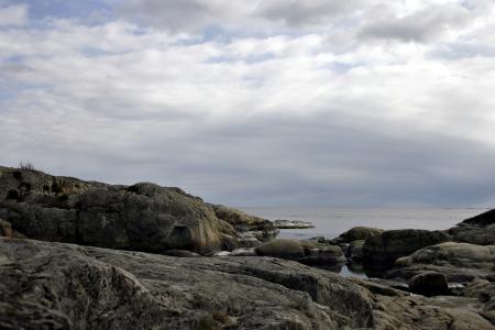 Norwegian Coastline