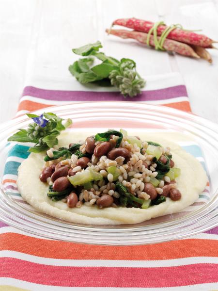 Nouvelle cuisine. Delicious plate ready