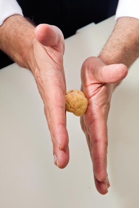 Nouvelle cuisine. Delicious plate ready