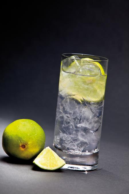 Nouvelle cuisine. Delicious plate ready