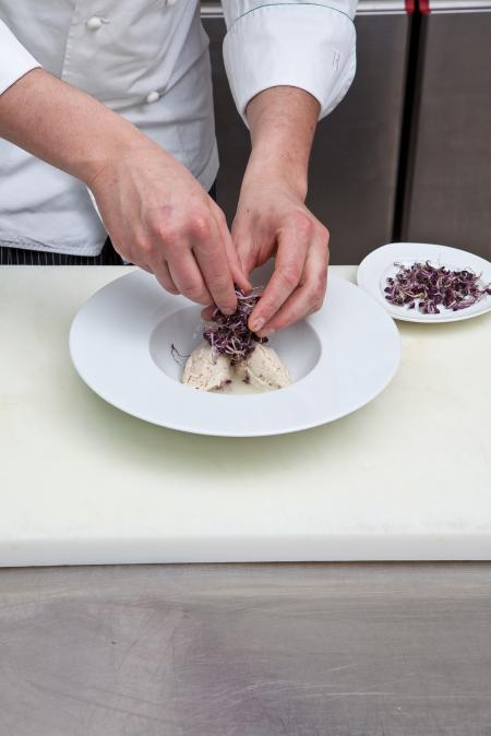 Nouvelle cuisine. Delicious plate ready