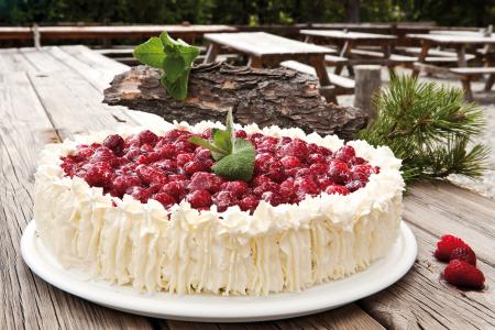 Nouvelle cuisine. Delicious plate ready