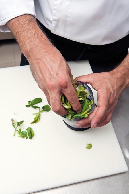 Nouvelle cuisine. Delicious plate ready