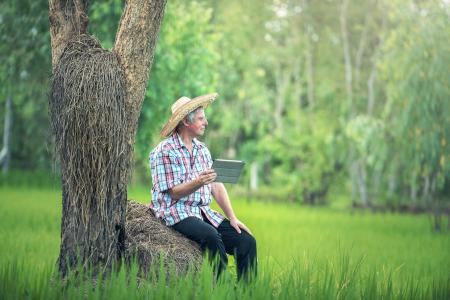 Observing the Field