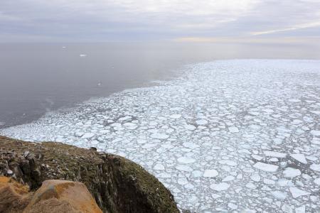 Ocean Ice at Cape St. Marys