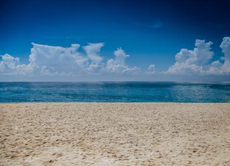 Ocean View during Daylight