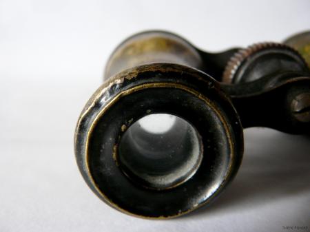 Old Binoculars