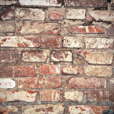 Old Brick Wall