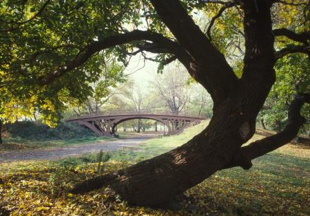 Old Bridge