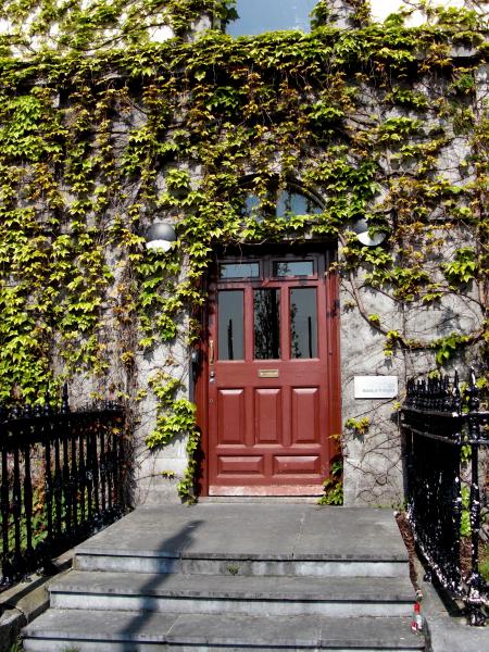 Old Door - Galway