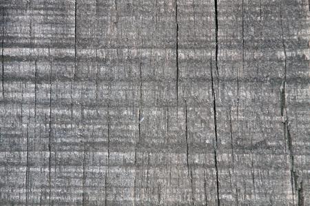 Old Dry Wood Texture