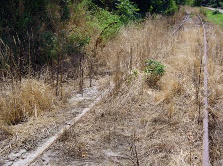 Old Rasilroad Tracks