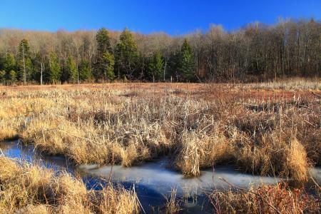 Old Route 611 Trail (2)