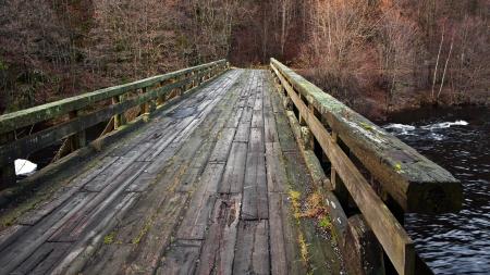 Old Wooden Bridge