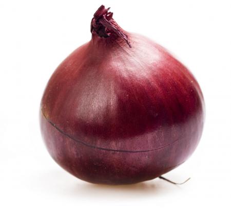 Onion