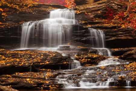 Onondaga Falls - Ruby Gold Autumn