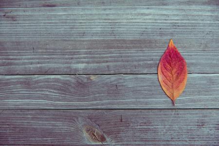 Orange and Red Leaf in Brown Wood Plank