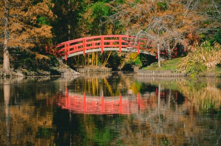 Orange and White Bridge