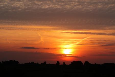 Orange Cloudy Sunset over Tree Silhouettes