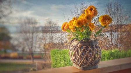 Orange Clustered Petaled Flowers in Brown Wicker Pot on Brown Wooden Plank