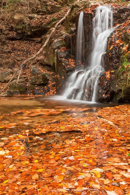 Orange Grove Waterfall
