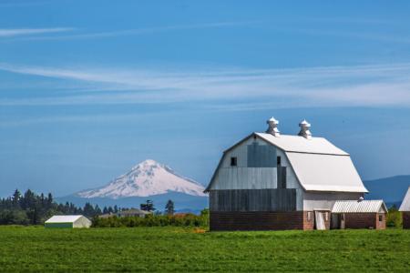 Oregon Barns with Mt. Hood in the background