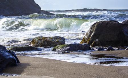 Oregon Coast, in November