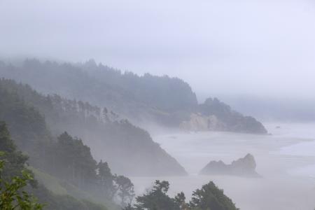 Oregon Coastal in Fog