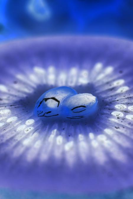 Organic background