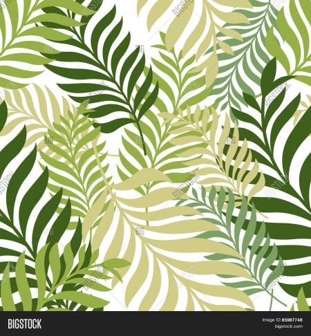 Palm Leaf Background