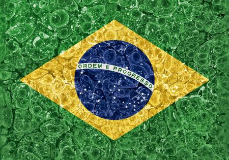 Organic Grunge Flag - Brazil