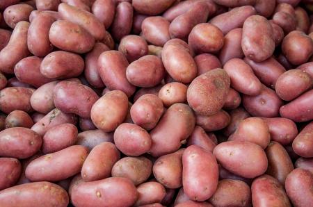 Organic red potato pile sold on market