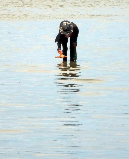 Oyster Fisherman