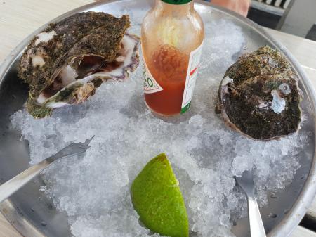 oysters dish on the ice with tobasco souce