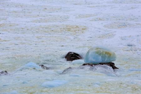 Pack ice along the coast