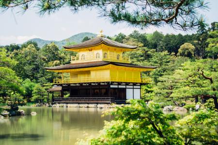 Pagoda Beside Tree's and River