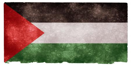 Palestine Grunge Flag