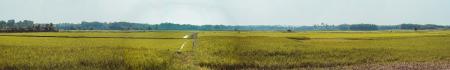 Panoramic Photo of Farm