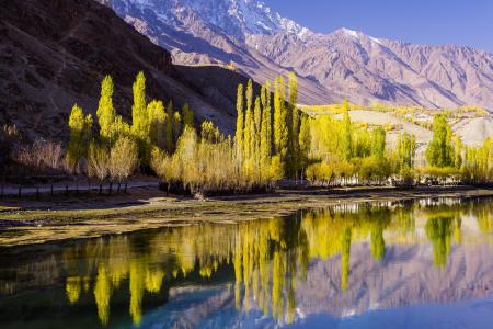 Panoramic Photography of Green Trees Near Mountain Range