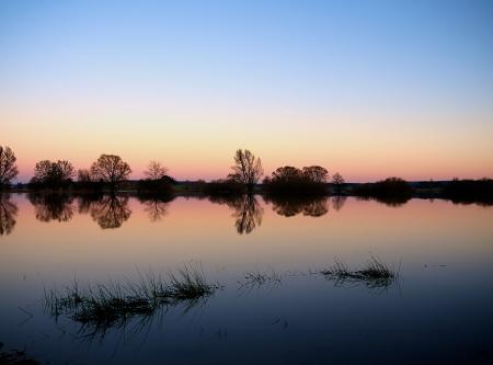 Panoramic Photography of Trees Under Clear Bluy Sky Durign Daytime