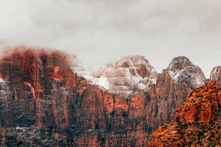 Panoramic Shot of Trees on Landscape