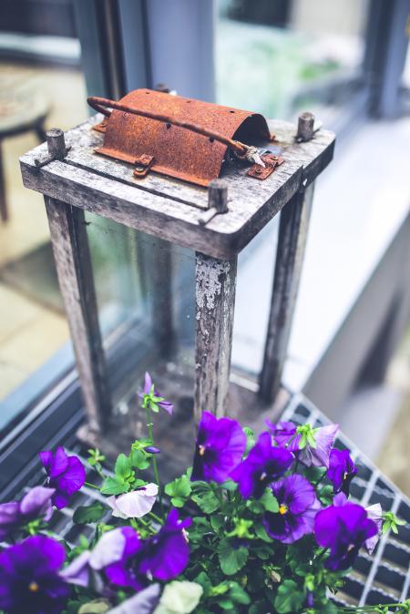 Pansies & lantern