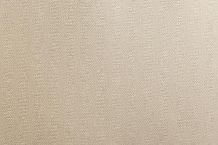 Paper Texture