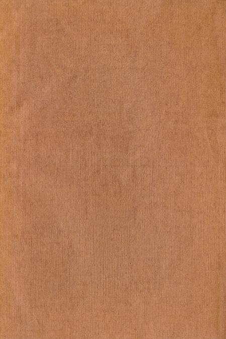 Paper Texture - Brown Canvas