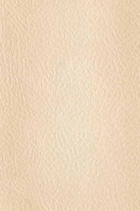 Paper Texture - White Leather
