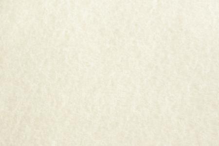 Parchment Paper